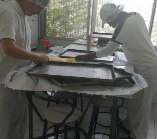 Jóvenes en práctica laboral